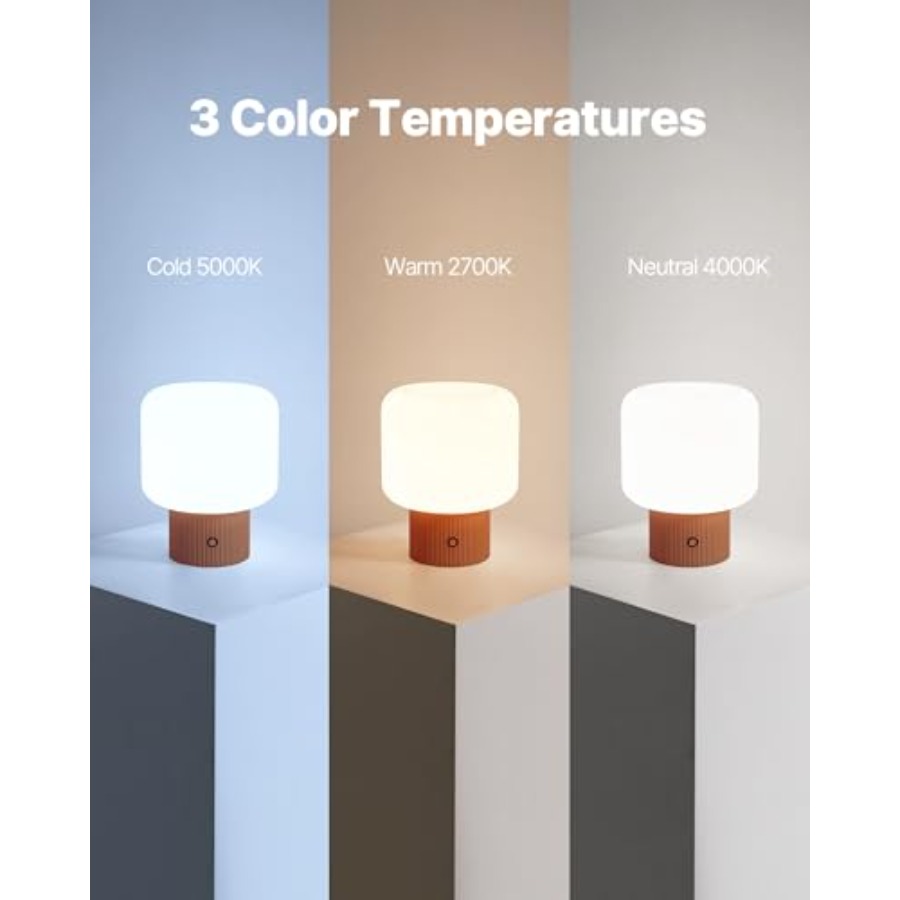 Halo Mushroom Lamp, 5W Cute Co - đánh giá và giá Mushroom Table Lamp