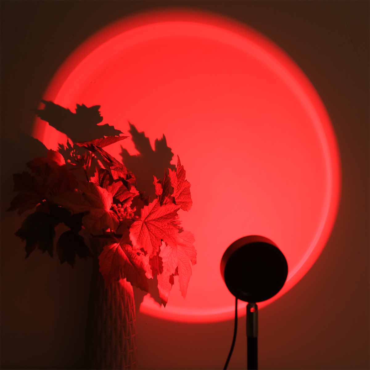 Sunset Projection Light Remote - đánh giá và giá Sunset Lamp Projection